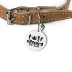 Pet Tag - Image 4